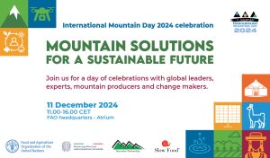 469445779_980215157474078_3578119396511728068_n