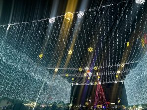 9d2c77e8-437e-453f-86fa-08e577a567e7-1024x768