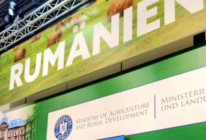 473389294_3605534706414059_3469324608112060390_n