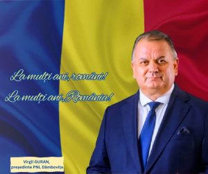 virgil guran pnl dambovita