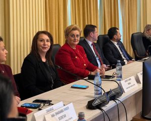 carmen holban deputat psd dambovita 1