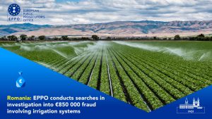 484348213_978858317765989_6201201969635365723_n