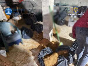 487094061_1068001628692220_3137591353162082601_n