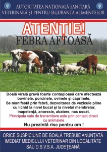 Febra-aftoasa-alerta-ansvsa