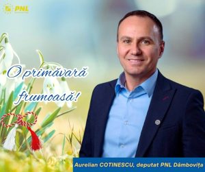 deputat aurelian cotinescu1