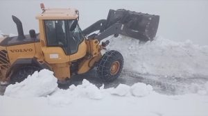 490679281_1006728218260144_2725039688278609980_n