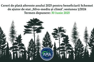 491414585_1081106294063091_8855812379964589308_n