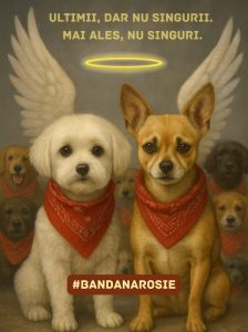 492180530_1280180444111718_1850180809584030120_n