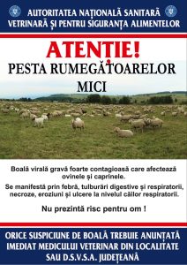 Poster-PRM-_pages-to-jpg-0001-960x1358