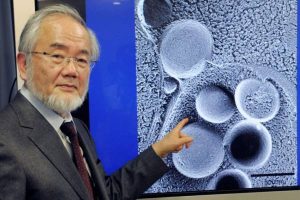YoshinoriOhsumi-postul-benefic-pentru-organism