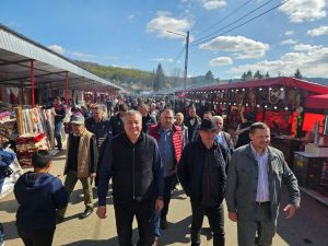 corneliu stefan - targ florii