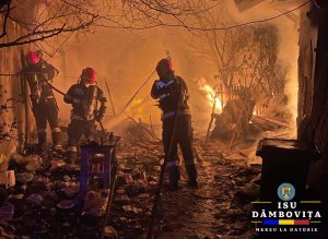 incendiu viforata