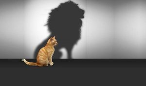 incredere-in-sine-poza