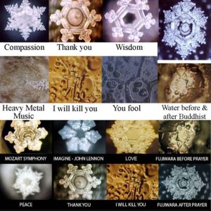 masaru emoto