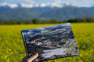 484857716_960903456189165_3573726413031074351_n