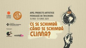 Apel proiecte artistice_CRIES