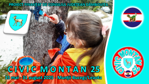 Banner - Civic montan 25