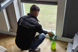 curatare-interior-geam_wp