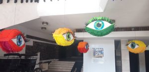 495072877_1071929464862917_6001930460291049064_n