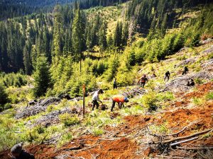 503240485_1145764887580802_3484030154126796616_n