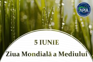 504487542_1118828506957536_5564958229853856754_n