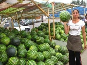 pepeni-de-vanzare-569x426