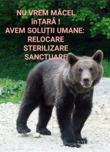 515712237_10164357607942494_4832109001291014991_n