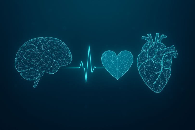România are, în premieră, o Strategie Națională pentru Combaterea Bolilor Cardiovasculare și Cerebrovasculare 2025–2030