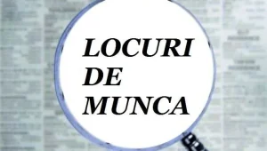 locuri-de-munca