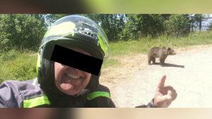 motociclist atacat de urs