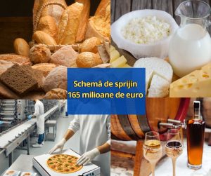 schema de sprijin