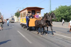 tramvai-tras-de-cai-la-Timisoara-jpg