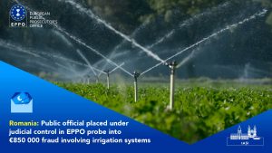 546619014_1117989707186182_5627304605604942661_n