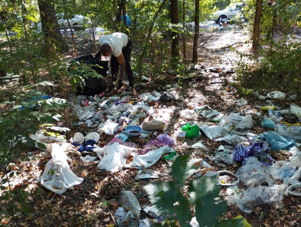 direcția silvică dâmbovița