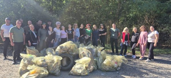 direcția silvică dâmbovița