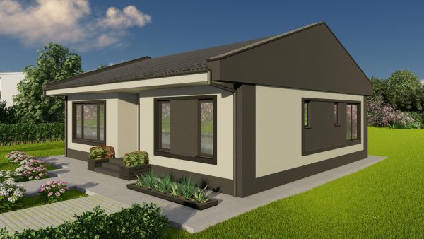 case pe structura metalica