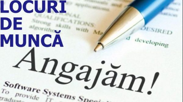  locuri de muncă vacante în Dâmbovița
