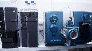 584920759_32395541026757229_2671058360955364688_n