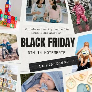 black-friday-2025-14-nov_wp