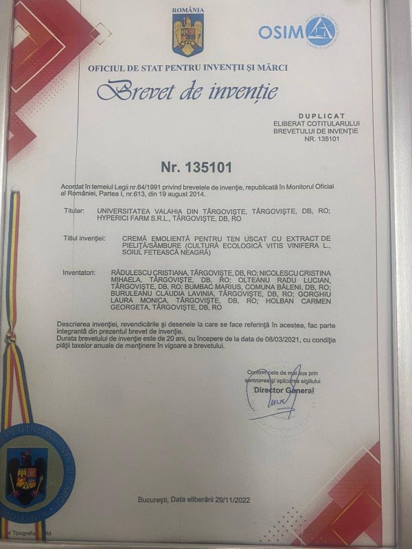 carmen holban brevet de inventie