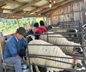 540439306_122109608390982715_5360814443074069468_n