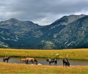 555594512_122119300166982715_2005542846360940155_n