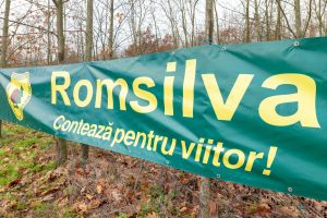 596475797_1301777915312831_2480655520041552435_n