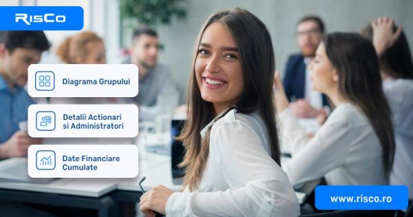 Grupuri de firme după acționariat