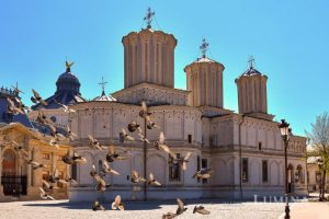 615821353_1499802325485263_3408665364881207126_n