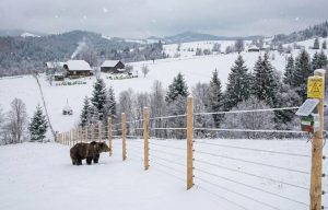 618359449_1194568349428425_4281006097953060092_n