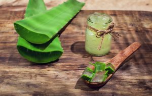 aloe vera