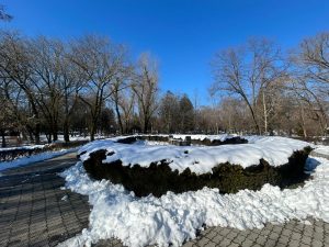 3f71cd48-9c30-482e-b5f1-2d74bdab1df2