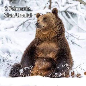 626819146_1462212611963890_1537327097391570375_n