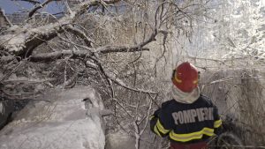 638055748_1341434371361231_7478036768635575260_n